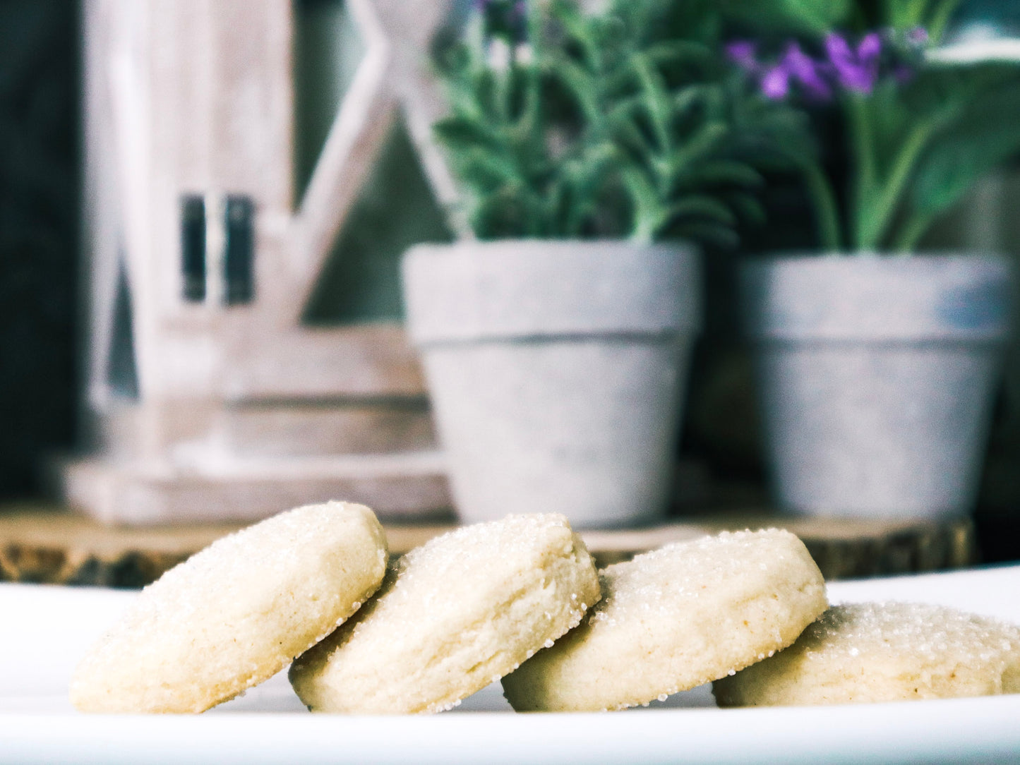 Gram's Sugar Cookie