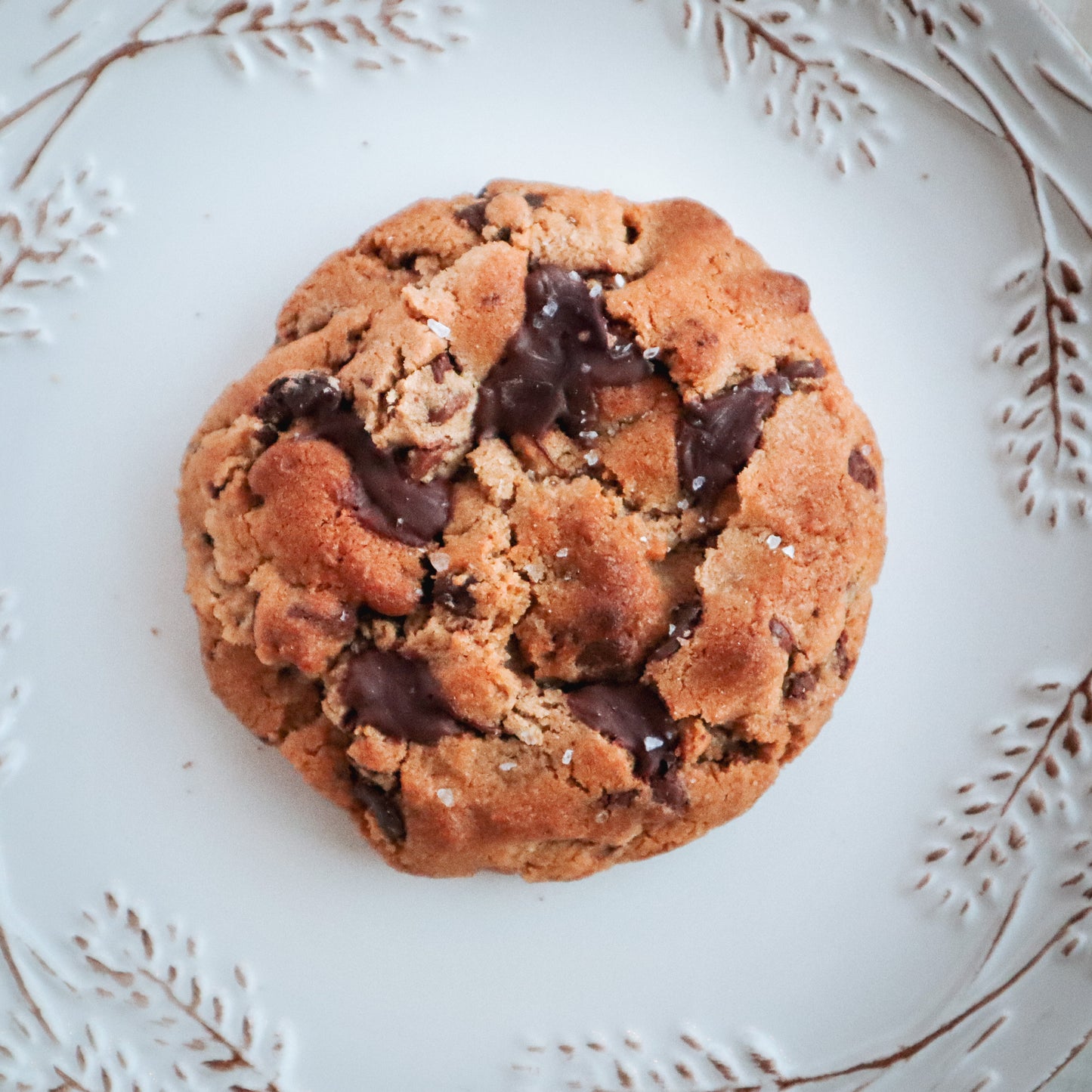 The Best Chocolate Chip Cookie Ever