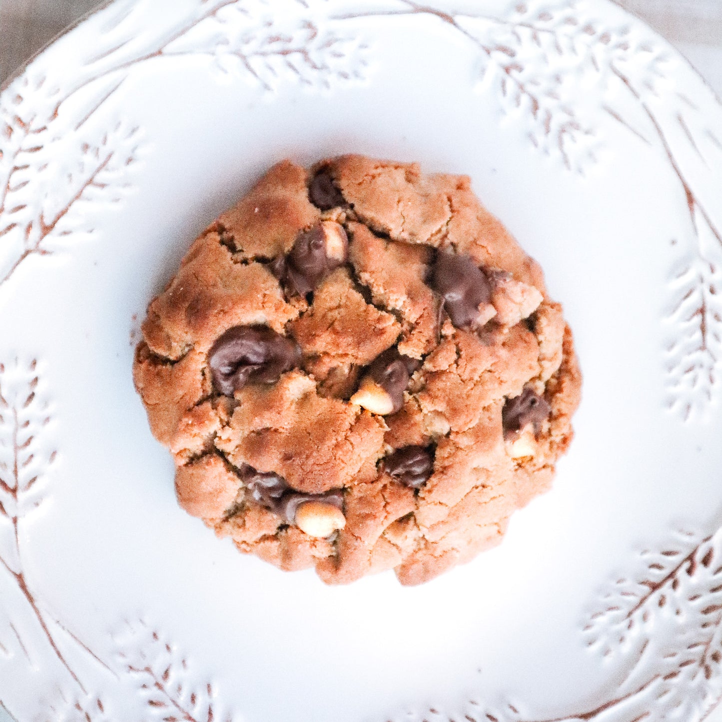 Peanut Butter Chocolate Chip Cookie